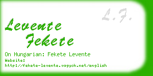levente fekete business card